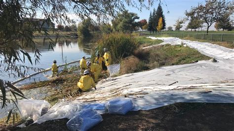 Natomas Park To Reopen After Spill 26 Animals Recovered Sacramento Bee