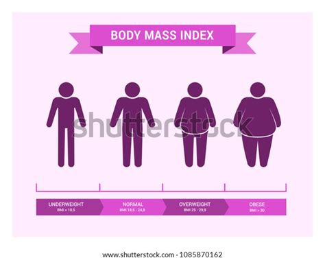 Body Mass Index Chart Vector Medical 스톡 벡터 로열티 프리