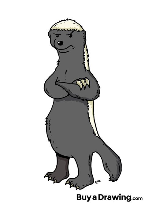 Honey Badger Cartoon Character Drawing