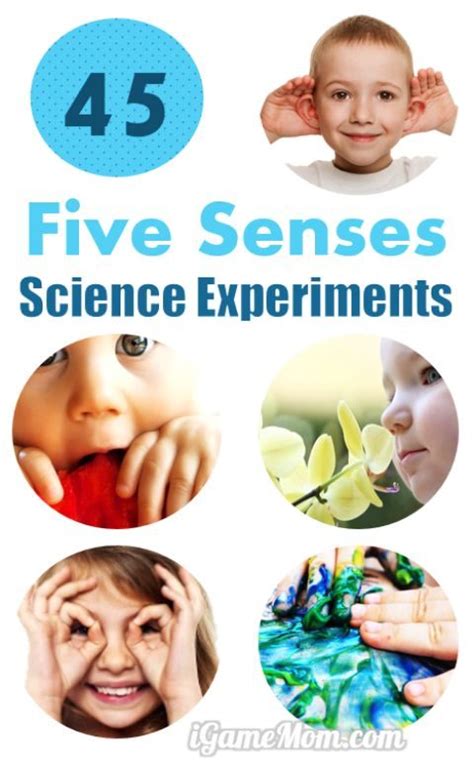 45 Science Activities for Kids to Learn the 5 Senses
