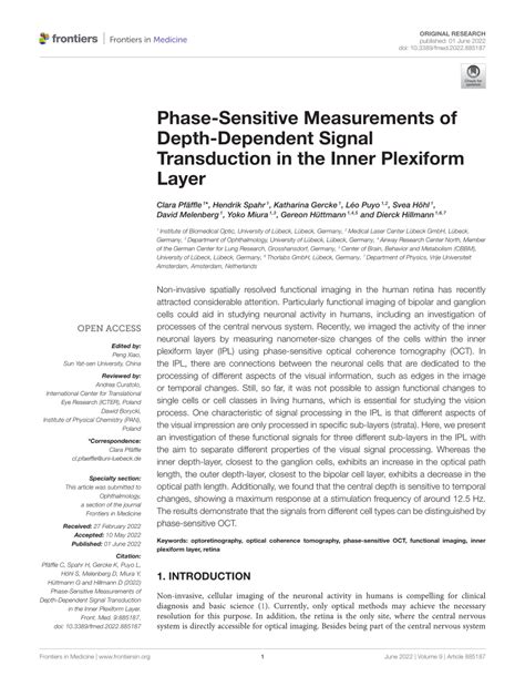 PDF Phase Sensitive Measurements Of Depth Dependent Signal