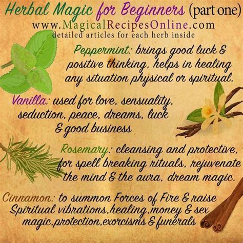 Herbal Magick For Beginners Herbal Magic Magic Herbs Witch Herbs