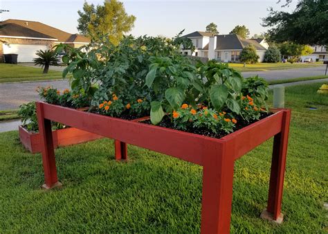 Back Saving Salad Tables Grow Vegetables Flowers Mississippi State