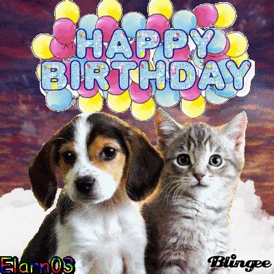 Muddy puppies are happy puppies and cute as well.love dog celebration birthday puppy happy birthday good puppy new gif on giphy #dog #pet #petrescue. Happy birthday puppies gif 14 » GIF Images Download