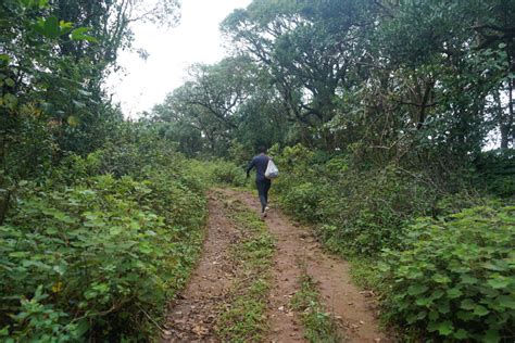 5 Reasons Why You Should Do Shepherds Trail Trek In Coorg