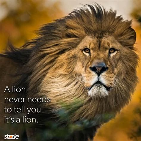 A Lion Never Needs To Tell You Its A Lion Video Lion Quotes