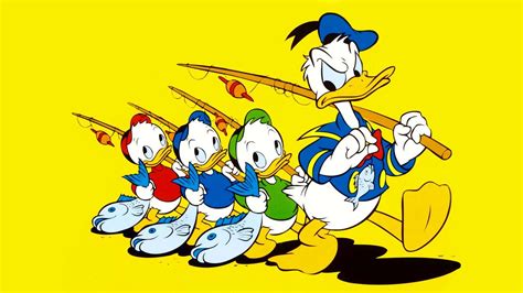 Donald Duck Character Comics Donald Disney Hd Wallpaper Wallpaper