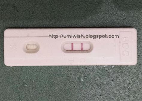 Jika saat hamil 4 bulan anda kadang masih merasa mual, maka pada masa ini biasanya rasa mual semakin berkurang. Perkembangan Bayi Dalam Kandungan 5 Minggu