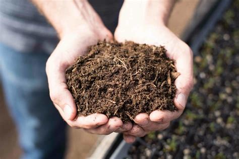 Some Tips To Improve Soil Quality Of The Garden
