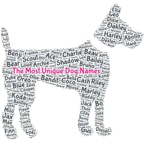 Unique Dog Names Ultimate Dog Name Guide 2022 Sparkygo