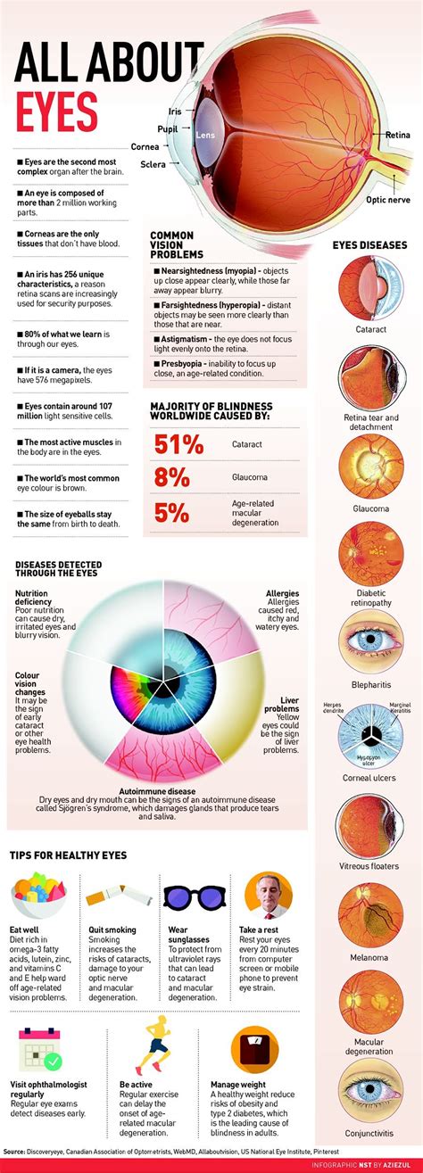 Infographic All About Eyes New Straits Times Malaysia General