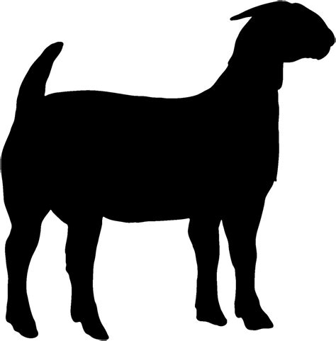 Boer Goat Silhouette Free Download On Clipartmag