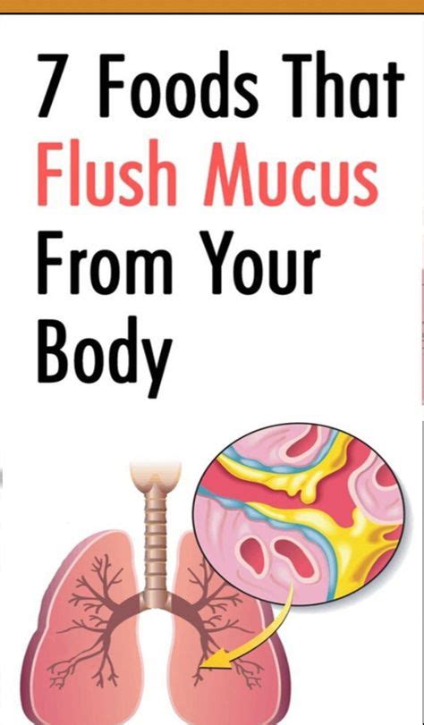 Mucus is a lubricant that is produced by the tissues lining the mouth, nose, sinuses, lungs, gastrointestinal tract and the nose. 7 Foods That Flush Mucus from Your Body Instantly | Mucus ...