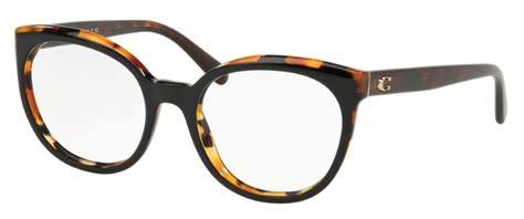 Hc6130f Asian Fit Eyeglasses Frames By Coach