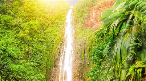 Forest Waterfall Between Tree Covered Mountain Hd Nature