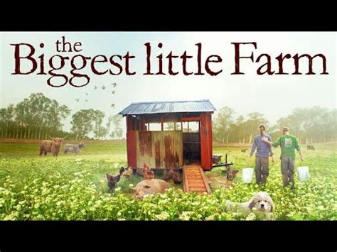 This movie was produced in 2018 by john chester director with john chester, molly chester and matthew pilachowski. The Biggest Little Farm (2019) | Movie Clip HD | Piglets ...