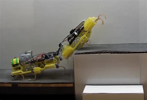 Ultra Cute Bugbots Cooperate To Climb A Step Together • Techcrunch