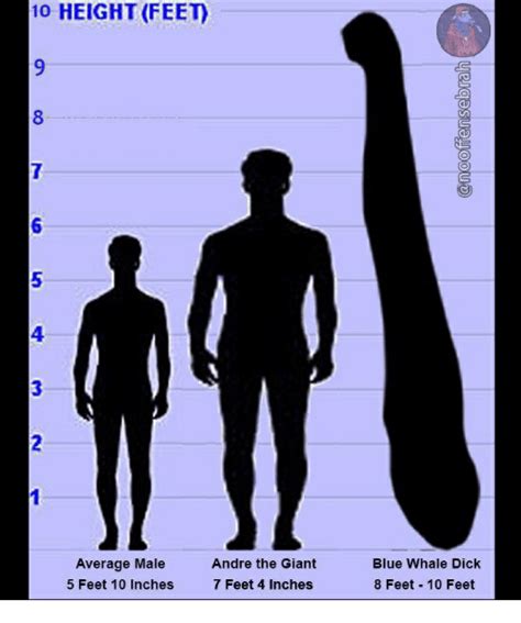 Likewise the question how many centimeter in 5.4 foot has the answer of 164.592 cm in 5.4 ft. 🔥 25+ Best Memes About Whale Dick | Whale Dick Memes
