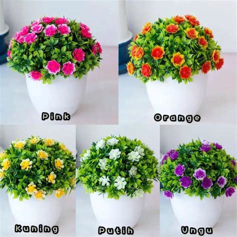 Dinamakan kantung sebab tumbuhan ini mempunyai sulur pada ujung daun yang membentuk seperti kantong. ES489 Tanaman Bunga hias Artifisial/Bunga bunga mini set ...