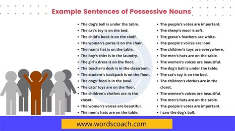 What Is A Possessive Noun Definition Rules Usage And Examples Word Coach