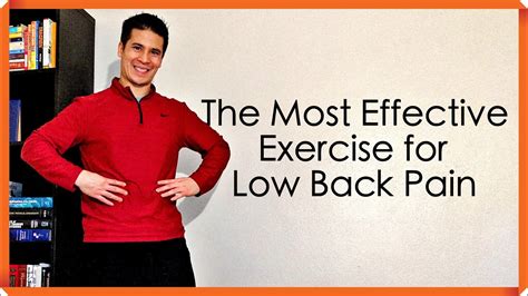Effective Exercises For Chronic Low Back Pain Treatment Youtube