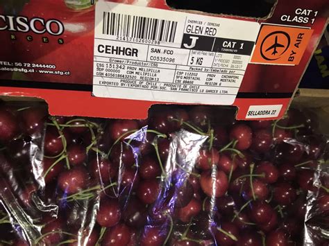 Shanghai Welcomes Its First Shipment Of Chilean Cherries Of The Season