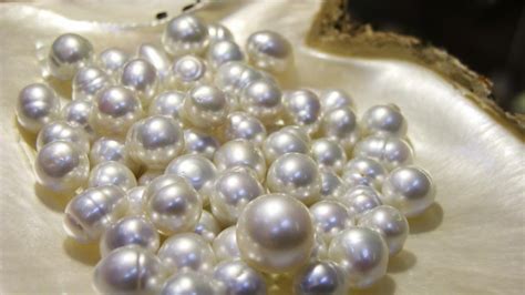 Top 10 Most Expensive Pearls
