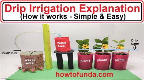 Drip Irrigation Working Model Explanation In English Simple And Easy