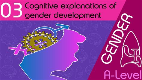 Cognitive Explanations Of Gender Development Gender Aqa Alevel Psychology Youtube