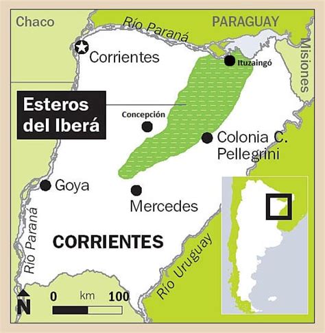 Iberá Wetlands And Protected Areas Argentina Lac Geo