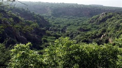 Haryana Governments Proposed Amendment Will Eat Into Aravallis Green