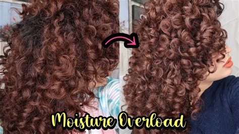 How I Fixed My Moisture Overload Protein And Moisture Balance For Curly