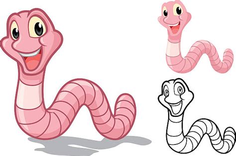 Royalty Free Earthworm Clip Art Vector Images And Illustrations Istock