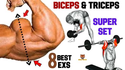 8 Best Biceps And Triceps At Gym Superset Triceps And Biceps Youtube