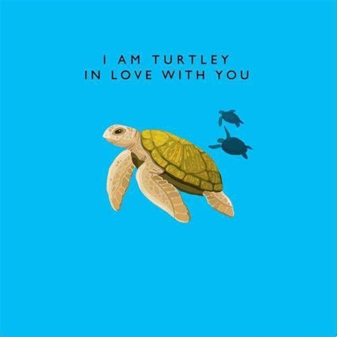 Turtle Quotes Turtle Love Turtle Time