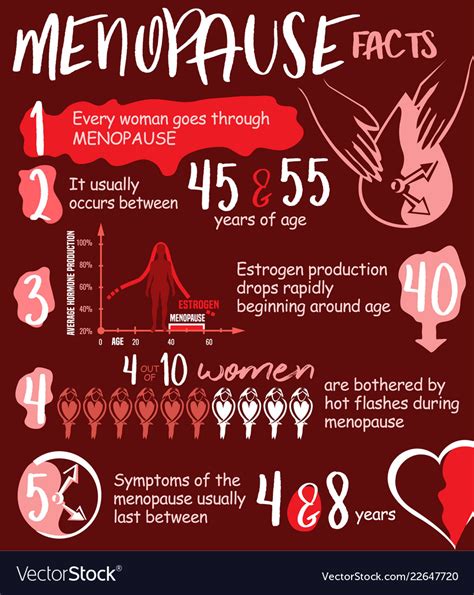 Menopause Facts Infographic Royalty Free Vector Image