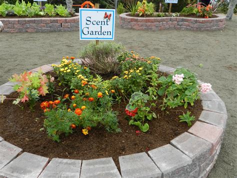 Scent Garden Scent Garden Sensory Garden Garden Inspiration