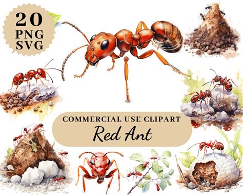 Clipart Ant Red Pend Ant Printable Ants Watercolor Ants Cutout Ants