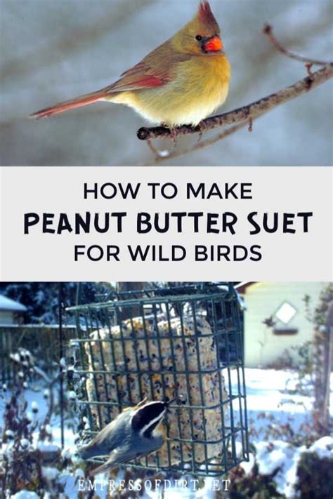 Melt grease and peanut butter in microwave. Homemade Peanut Butter Suet for Birds (Easy Recipe ...