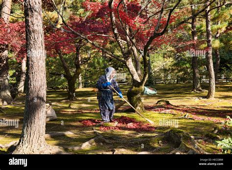 Raking Leaves At Kinkaku Ji Temple Golden Pavilion Kyoto Japan
