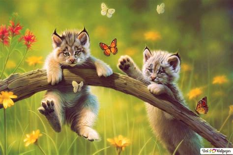 Lynx Kittens And Butterflies Hd Wallpaper Download