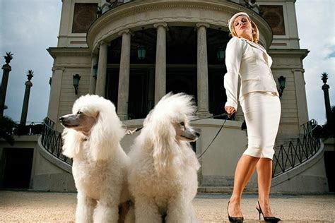 How Did the World's Rich Get That Way? Luck | Poodle ...