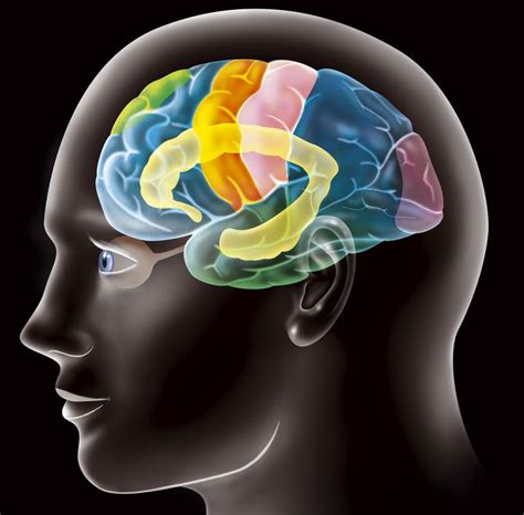 However, research has also shown that this type of stroke has twice the mortality rate of more common cerebral stroke. Large Vessel or Cortical Stroke Overview