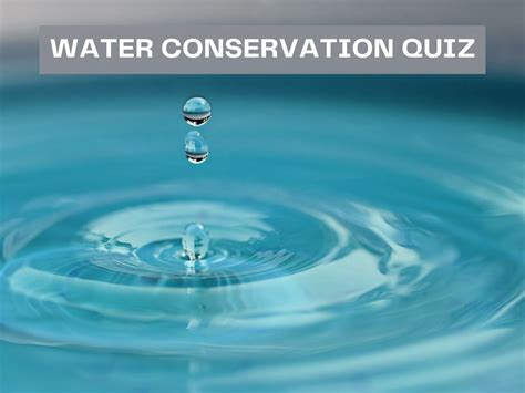 Water Conservation Quiz Test Your Knowledge On Bing Quiz