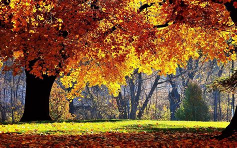 Fall Scenery Wallpapers Wallpaper Cave