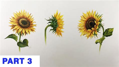 How To Paint A Sunflower In Acrylic Step By Step Painting Part 3