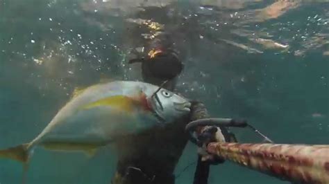 Jurel De 4500kg Pesca Submarina En Canarias Youtube