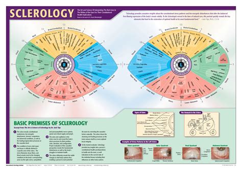 Eye Reflexology Chart 10 Pcs Free Downlaod Iriscope Iridology