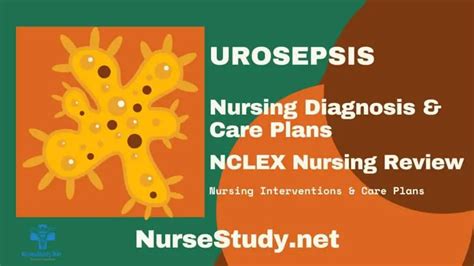 Urosepsis Nursing Diagnosis And Nursing Care Plan Nursestudy Net