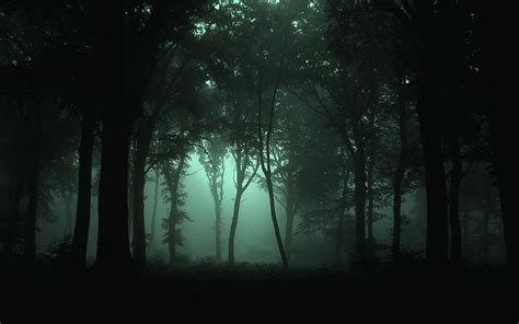 Dark Forests At Night Says Thank You 1000 Timesin Dark